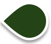 ninePattern lucky Pointer up